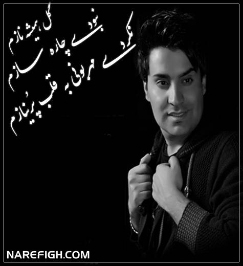 آهنگ گل همیشه نازم از محمد امین غلامیاری